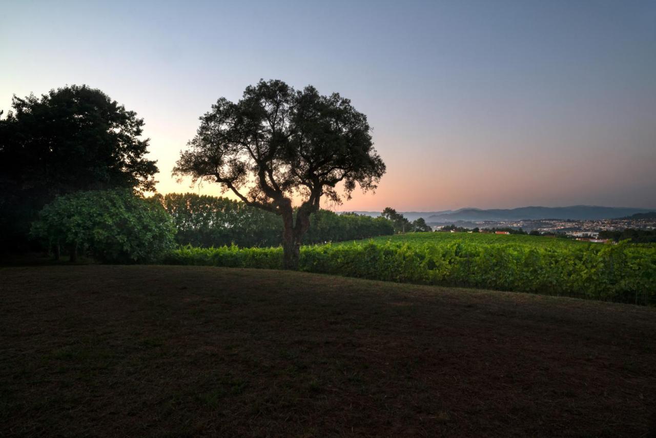 Braga House & Wine Villa Dış mekan fotoğraf